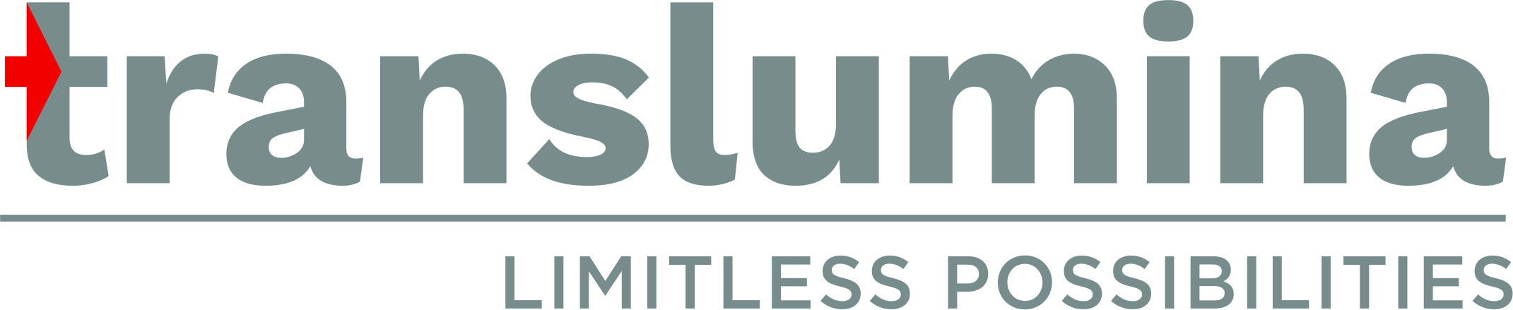 Translumina Therapeutics LLP ( Shockwave)